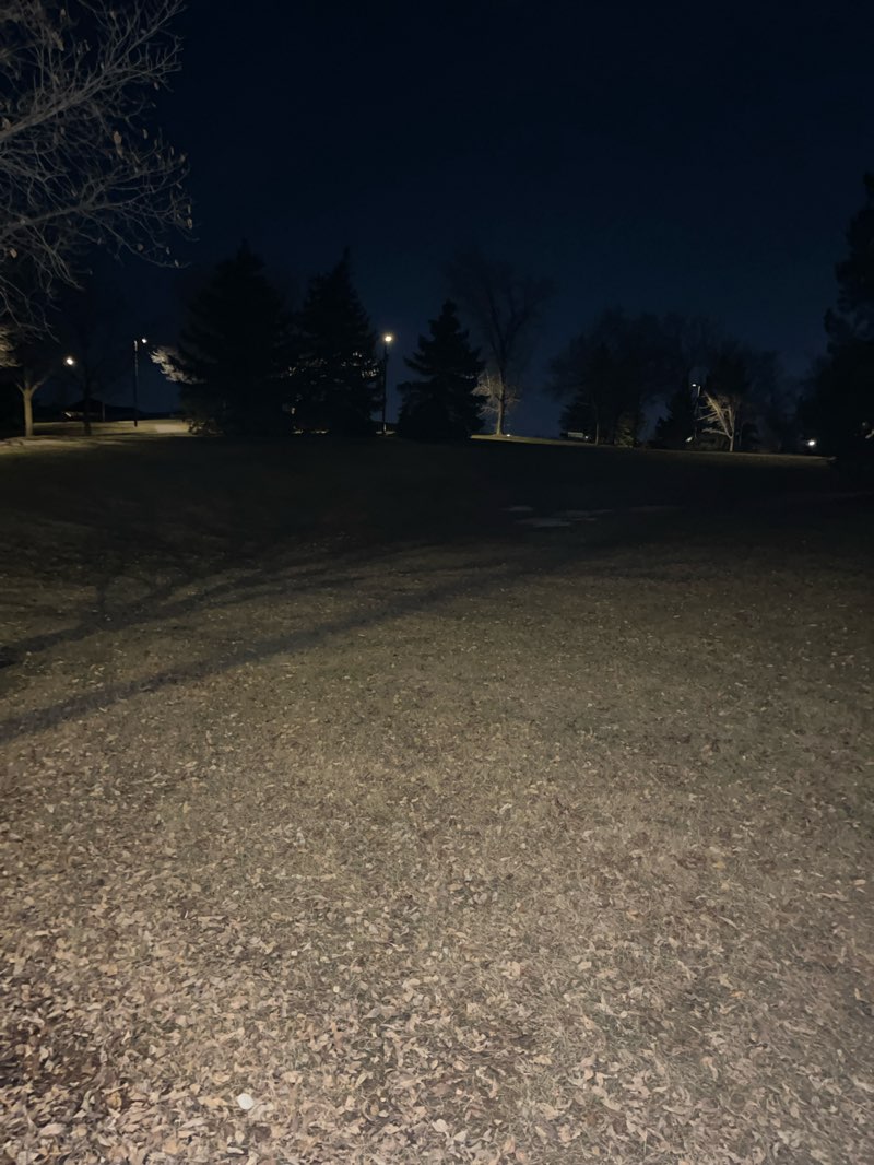 walking near me in Arbor Creek Park in spring