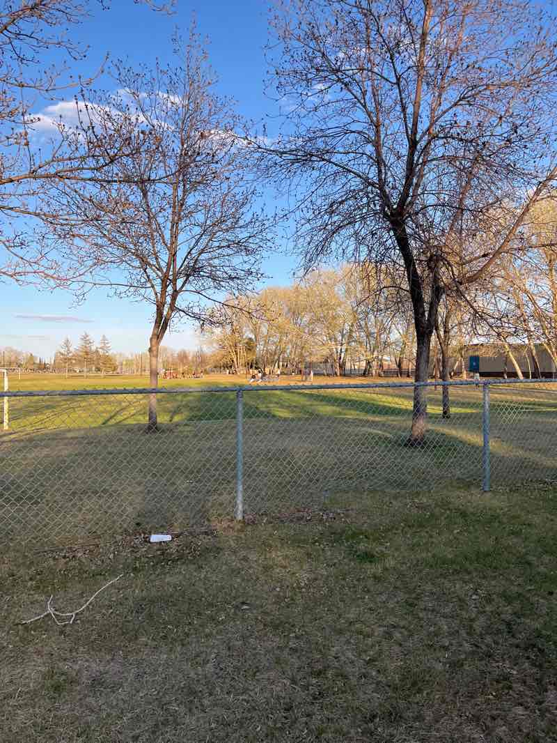 walking near me in Ernest Lindner Park in spring