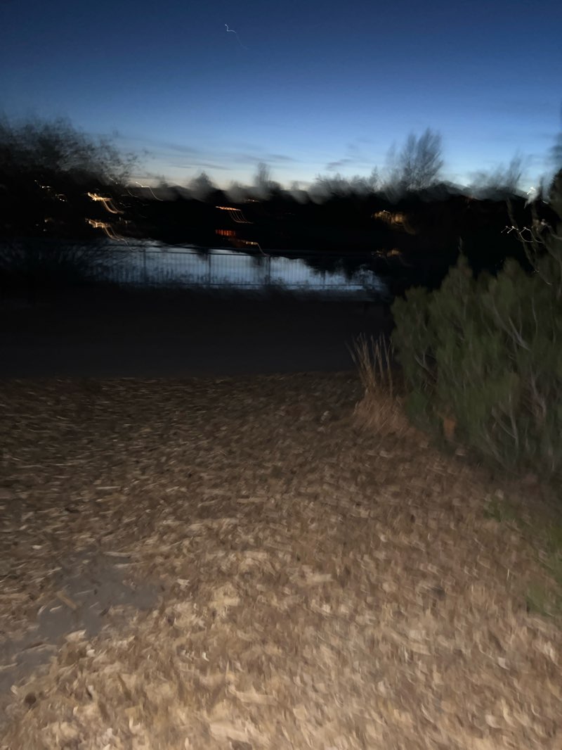 walking near me in John Avant Park in spring