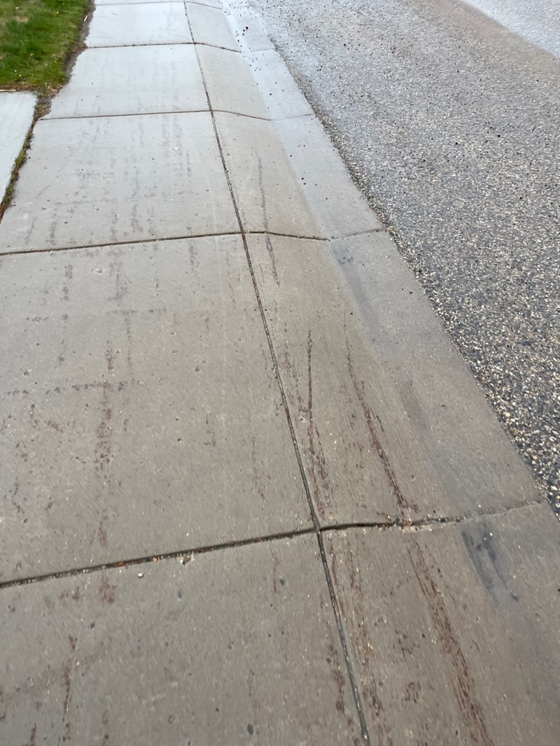 walking near me in Varley Park in spring