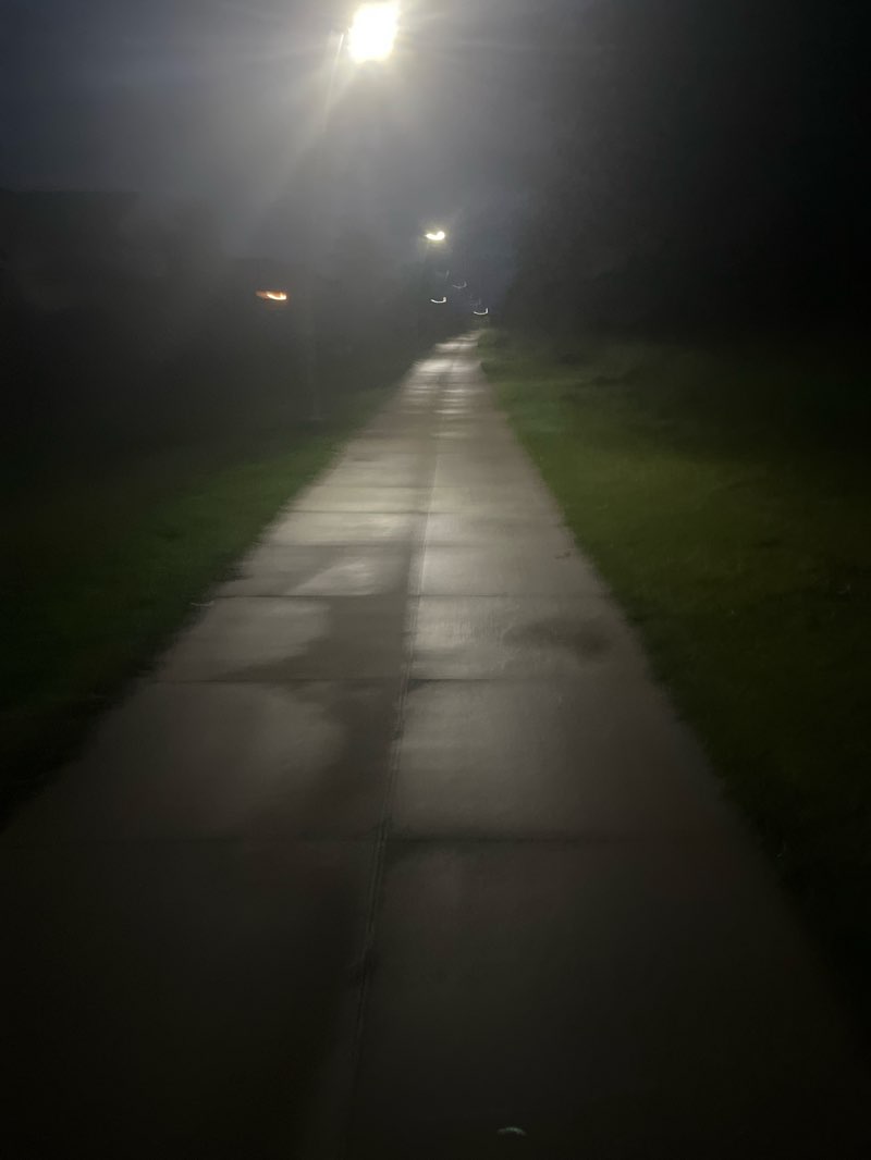 walking near me in George Dyck Park in autumn