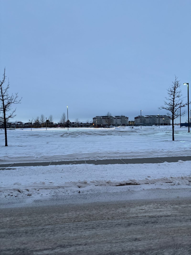 walking near me in Morris T. Cherneskey West in winter