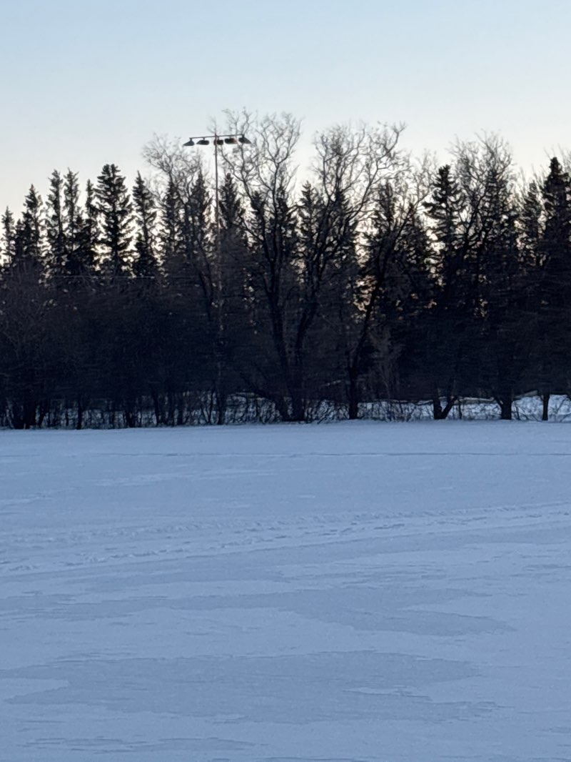 walking near me in Spruce Haven Park in winter