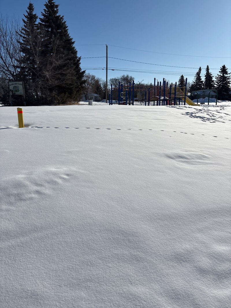 walking near me in Riverview Park in spring