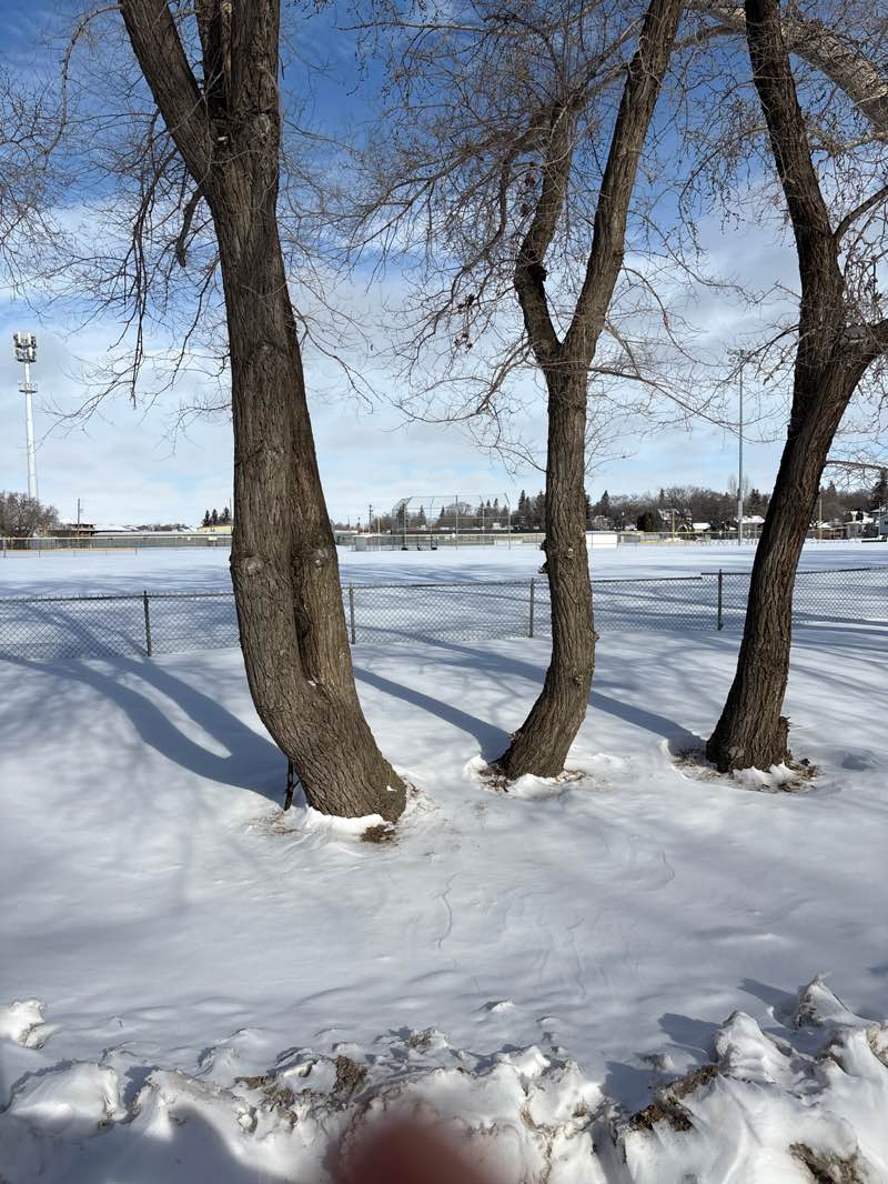walking near me in Kilburn Park in winter