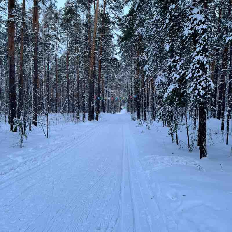 Хожу-брожу! max3_82 post image