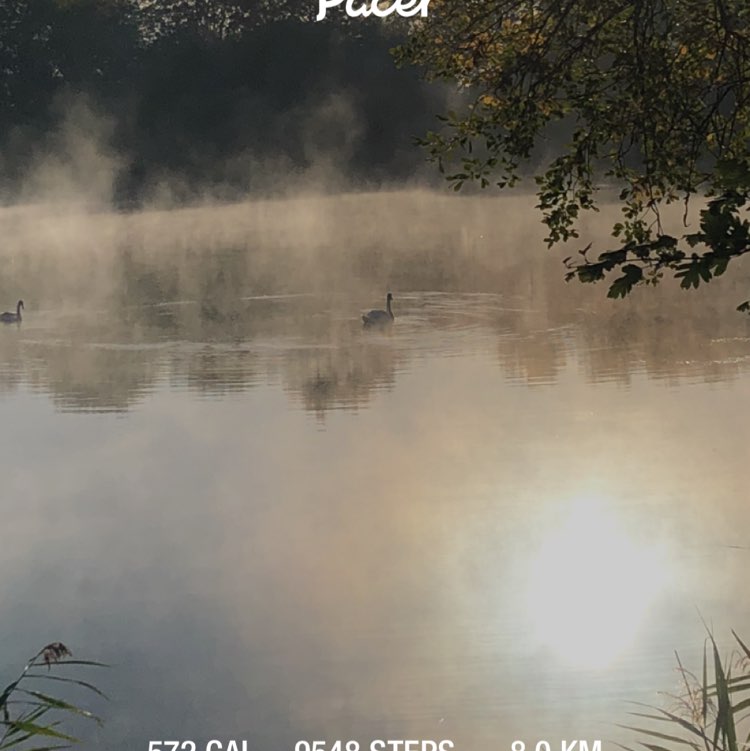 ian 🚶🏻‍♂️ post 1