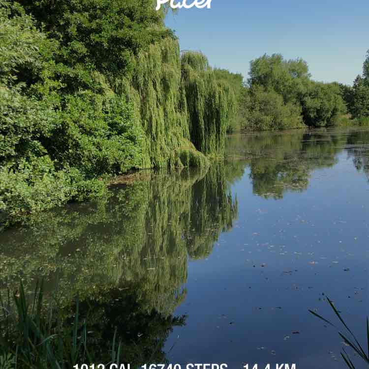 ian 🚶🏻‍♂️ post 1