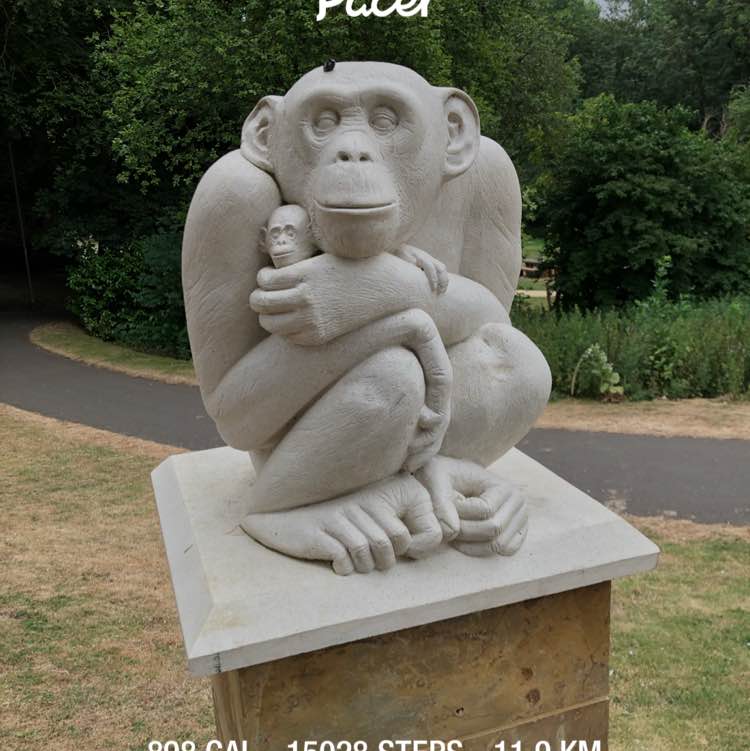 ian 🚶🏻‍♂️ post 1