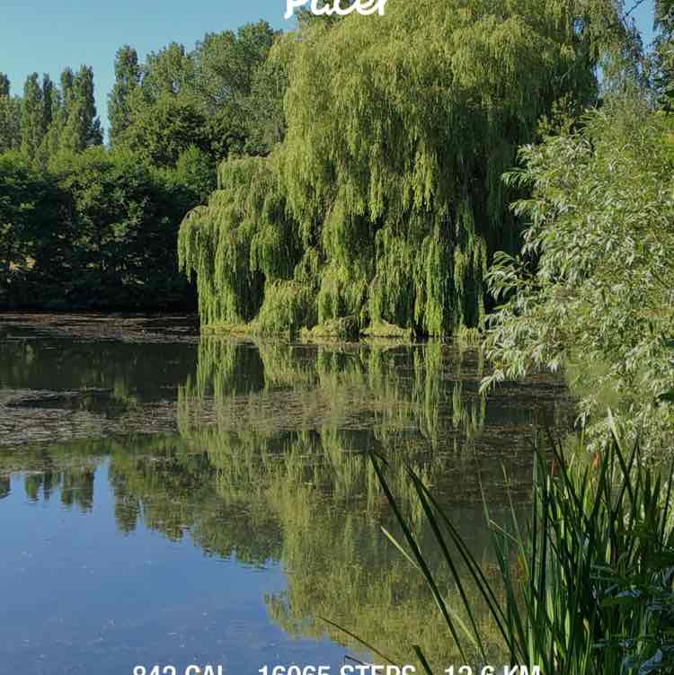 ian 🚶🏻‍♂️ post 1