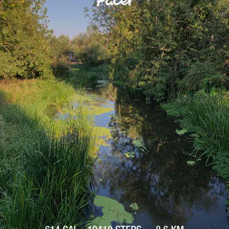 ian 🚶🏻‍♂️ post 1