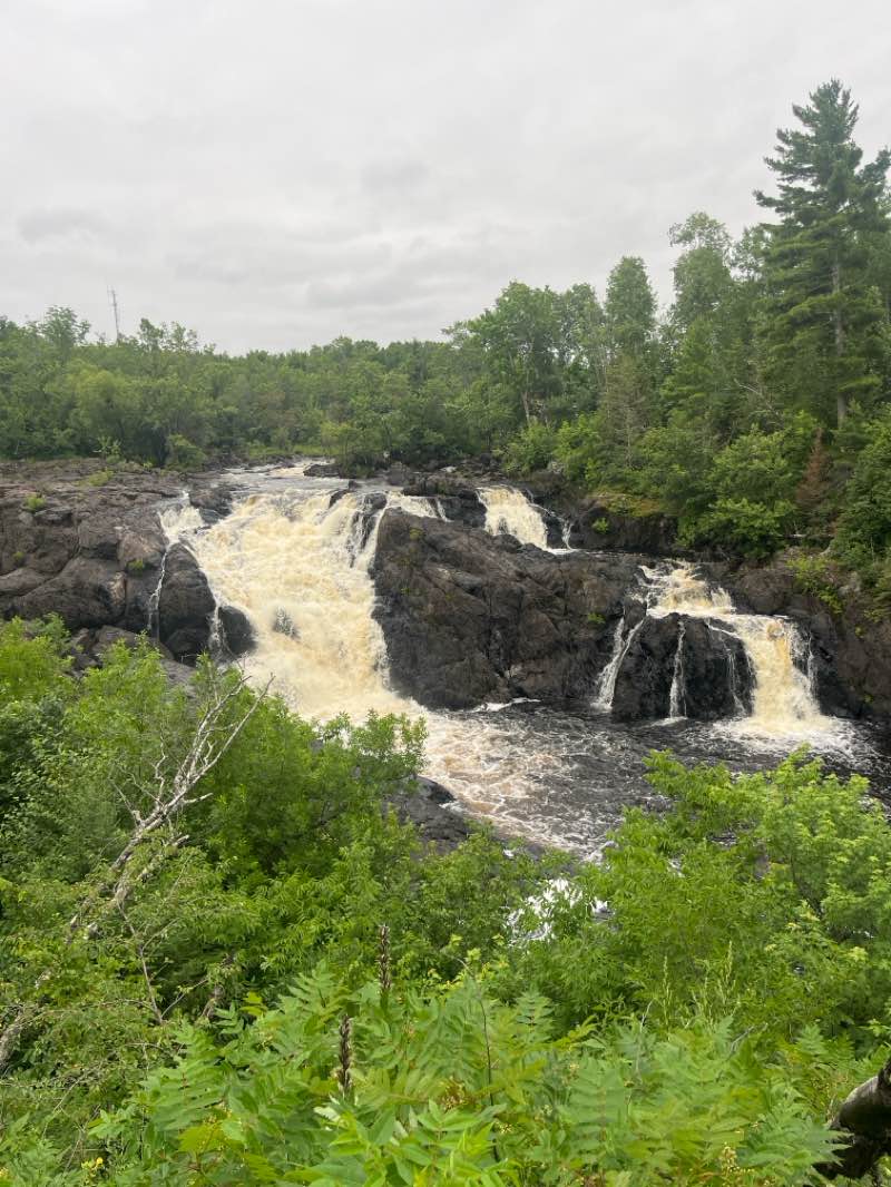 walking near me in Bear Island State Forest in summer
