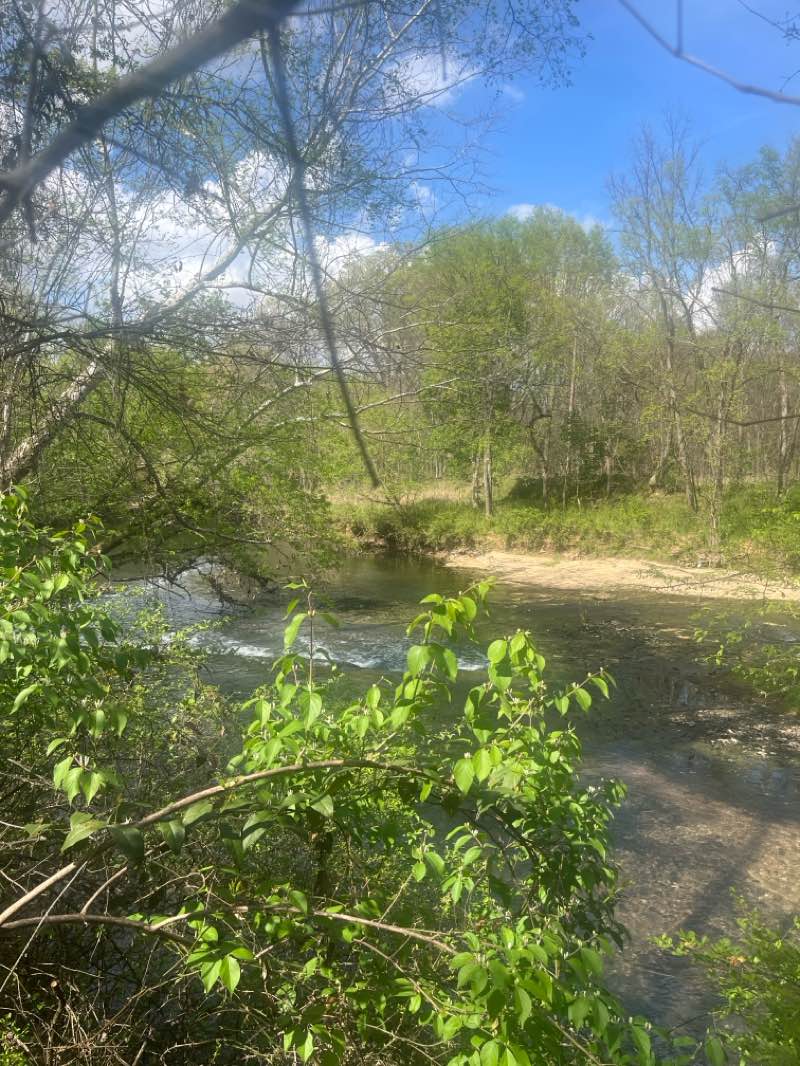 walking near me in Smyrna Greenway Trailhead in spring