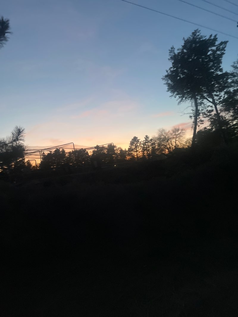 walking near me in Bane Park in summer