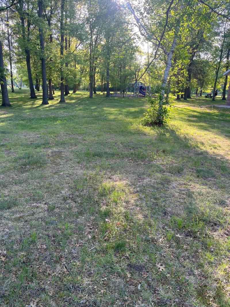 walking near me in Buffalo Hills Park in summer