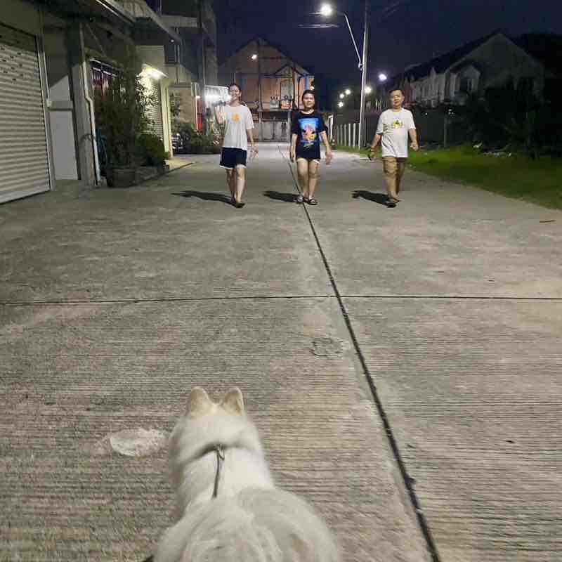 เดินกันเถอะ Prasit.ar post image