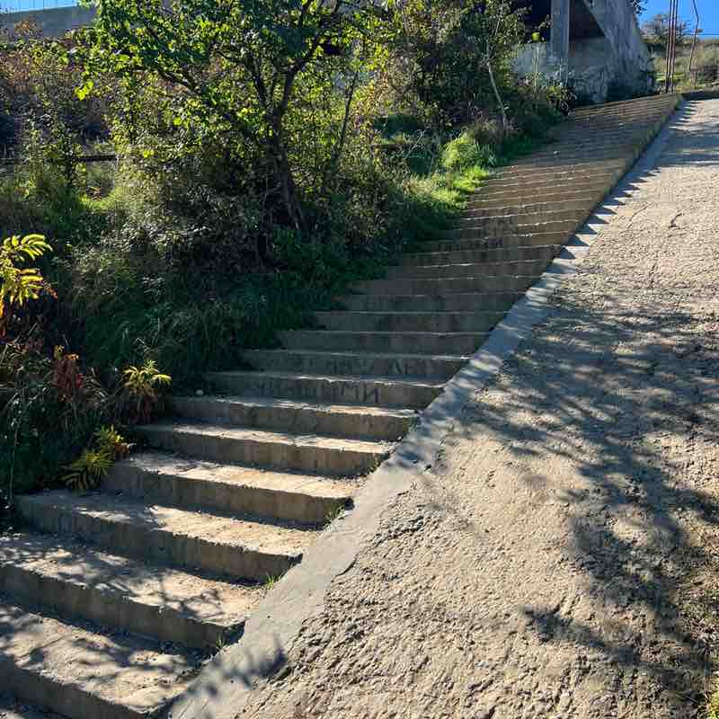 Farida_saturn post 2