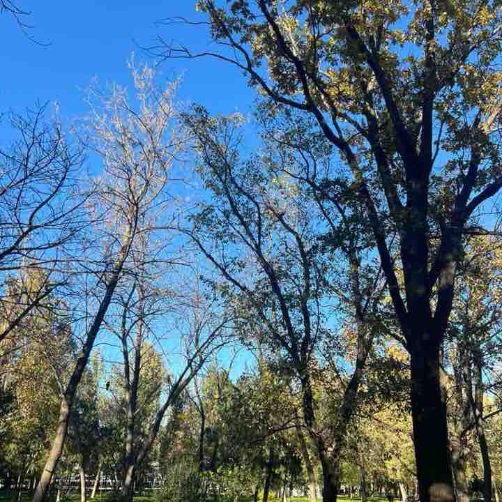 Farida_saturn post 3