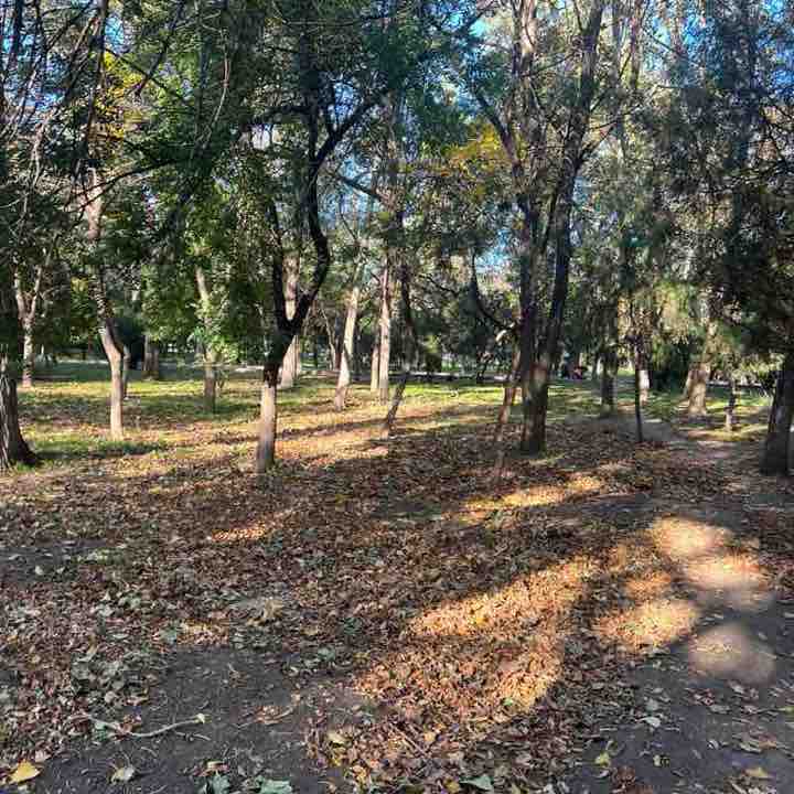 Farida_saturn post 1