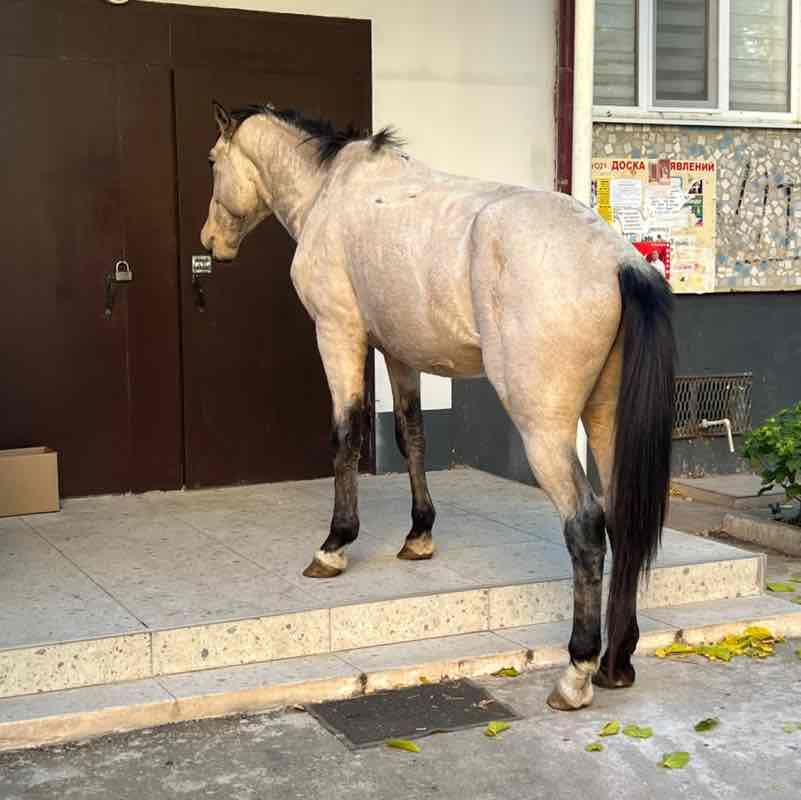 Farida_saturn post 1