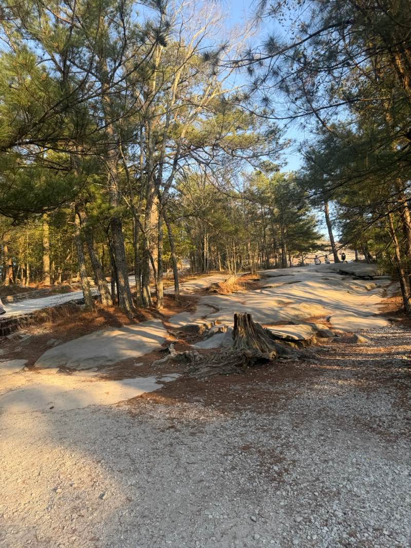 walking near me in Stone Mountain Park in spring