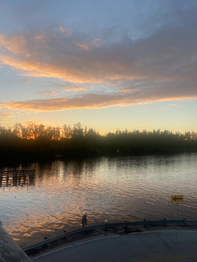 walking near me in Spanish River Park in winter