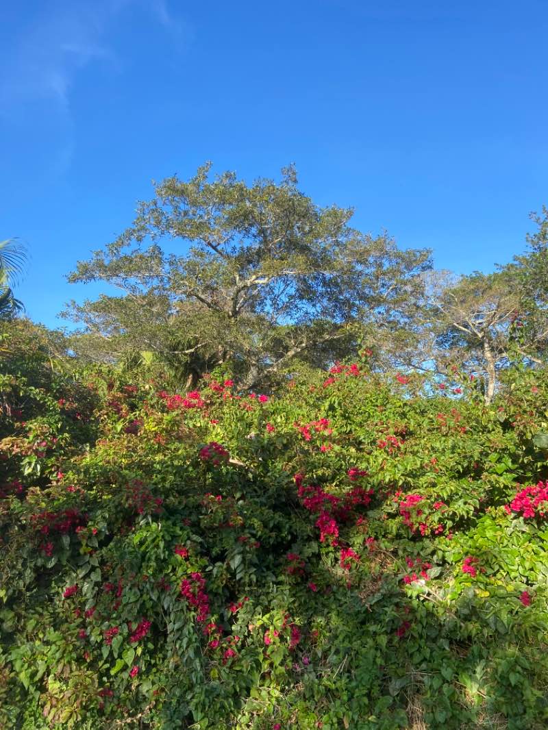 walking near me in Orchard View Park in winter