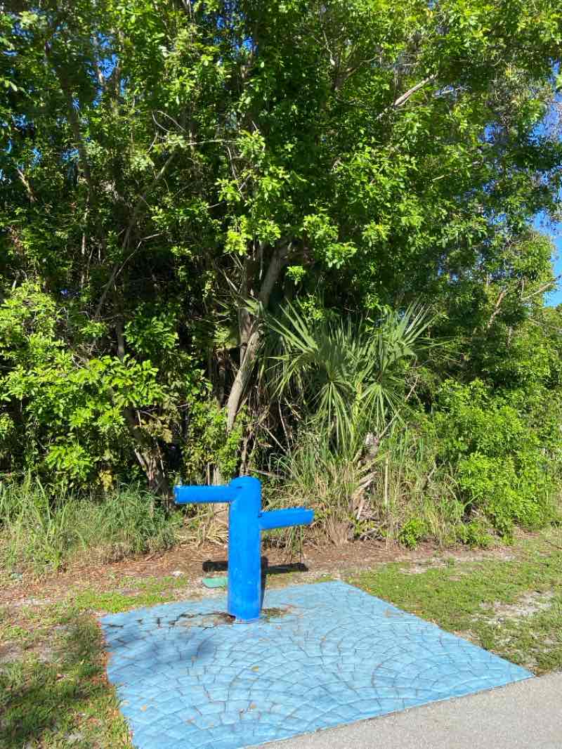 walking near me in Delray Oaks Natural Area in winter