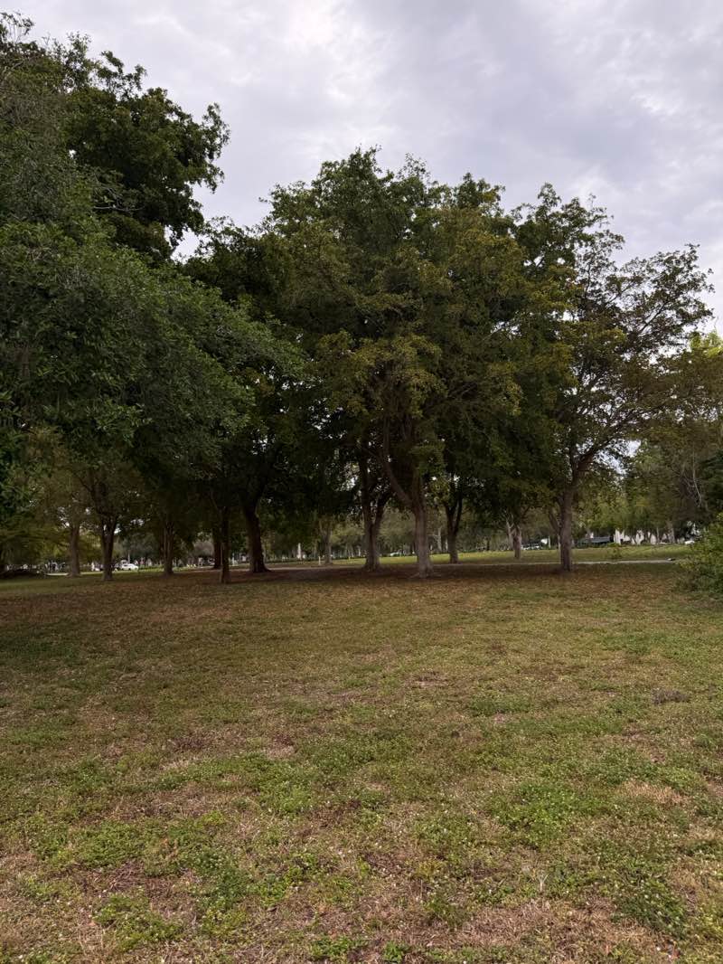 walking near me in Countess de Hoernle Park in winter