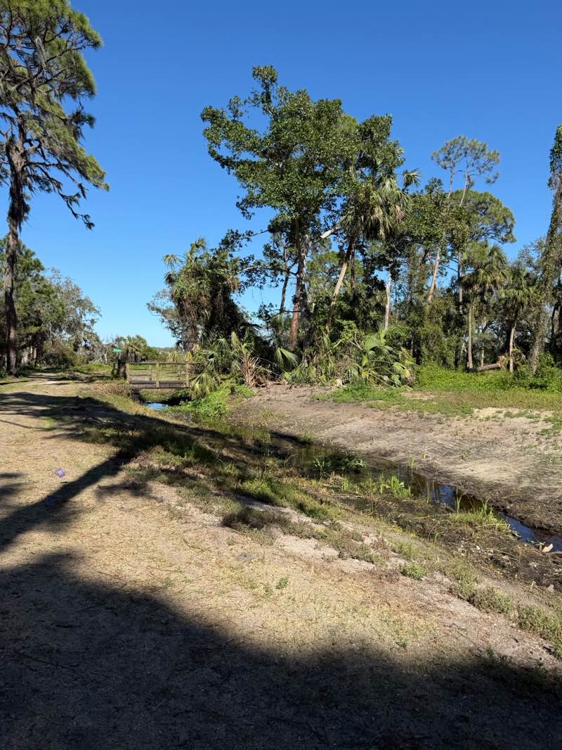 walking near me in Boyd Hill Nature Preserve in spring