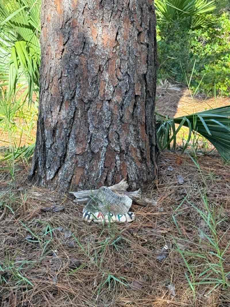 walking near me in Walsingham Park in summer