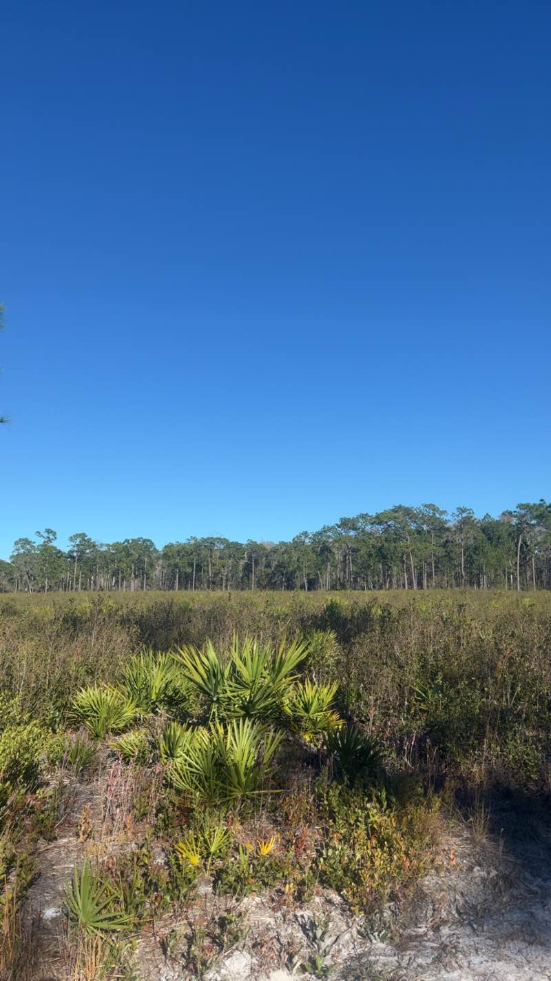 walking near me in J. B. Starkey Wilderness Park in winter