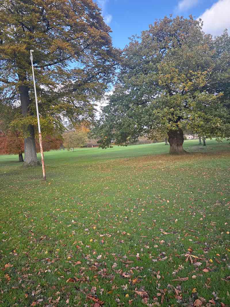 walking near me in Moss Bank Park in autumn
