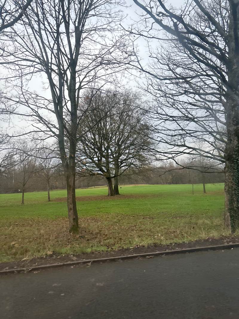walking near me in Leverhulme Park in winter