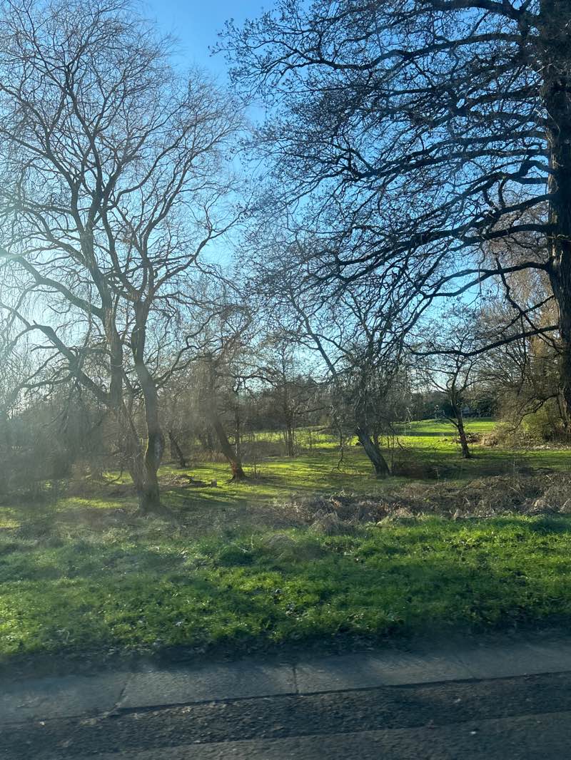 walking near me in Leverhulme Park in winter
