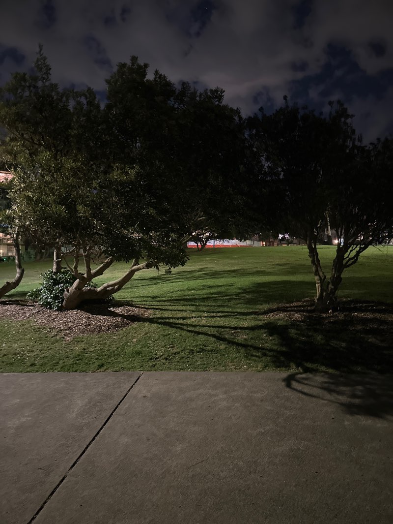 walking near me in Dunningham Park in spring