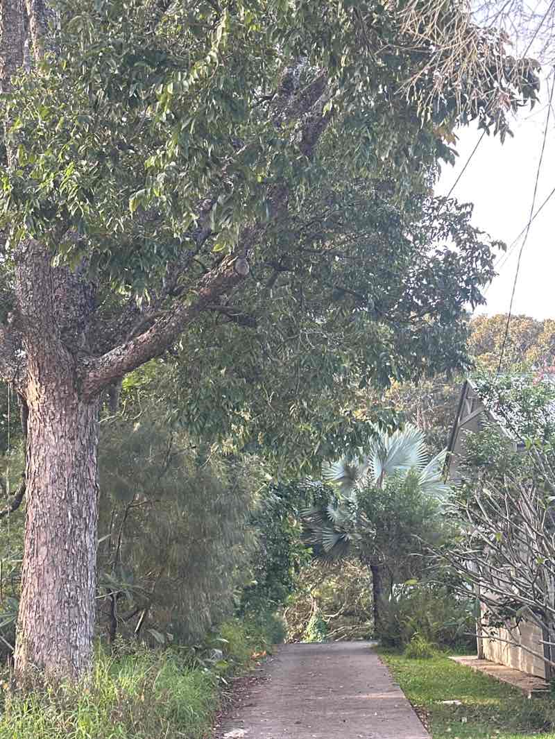 walking near me in Maam Gaduying in autumn