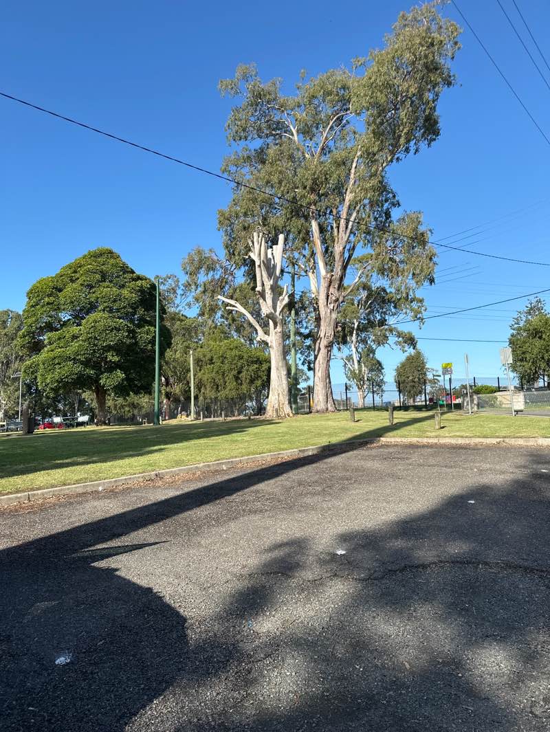 walking near me in Memorial Park in autumn