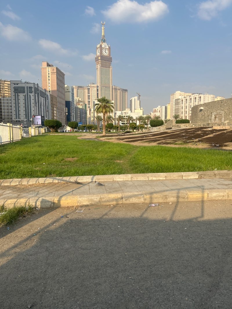 walking near me in Al Masfalah Park in winter