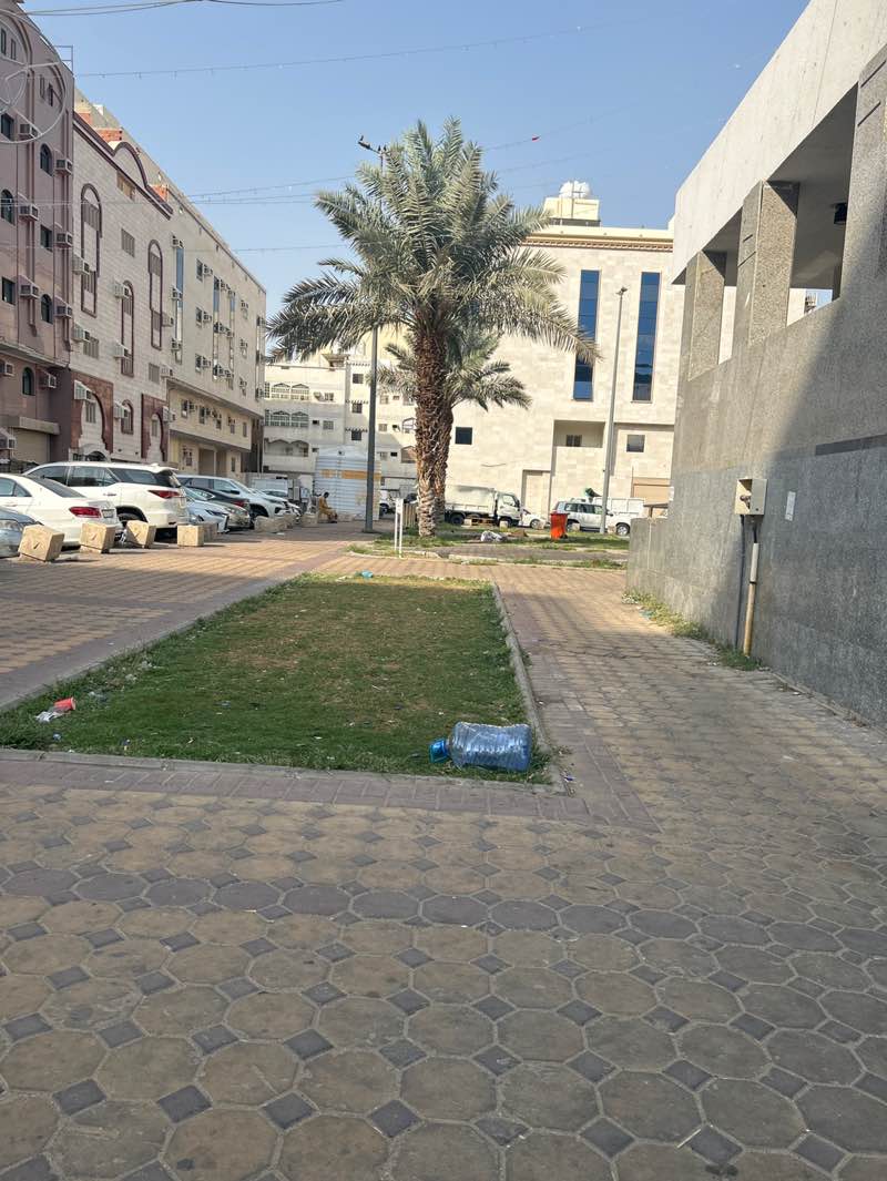 walking near me in حديقة الايمان in spring