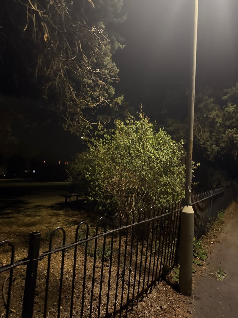 walking near me in Rose Garden in autumn