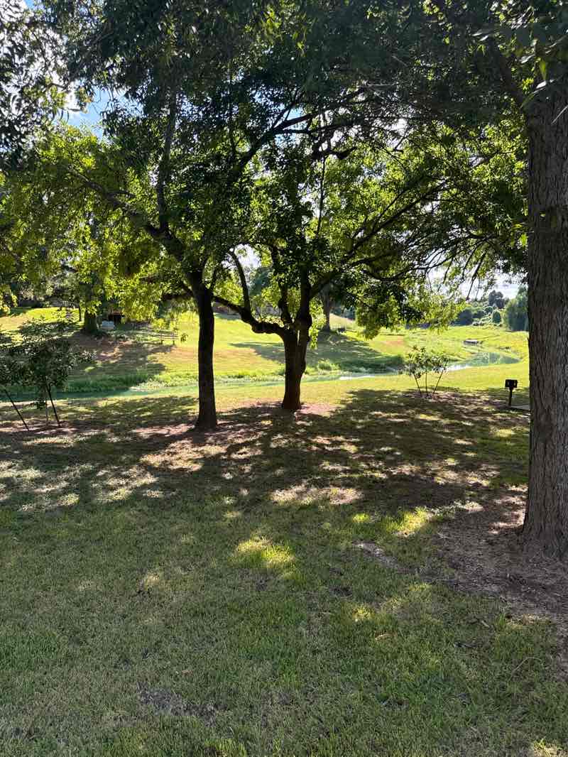 walking near me in Mosley Park in autumn