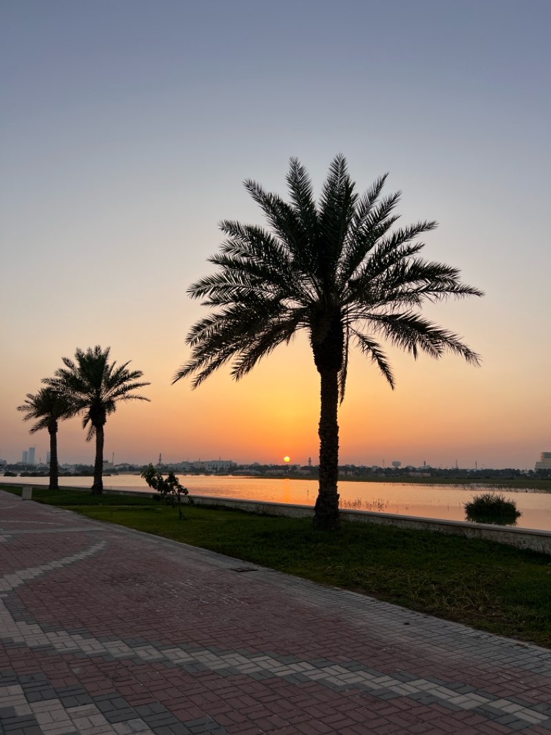 walking near me in Dohat Arad Park in spring