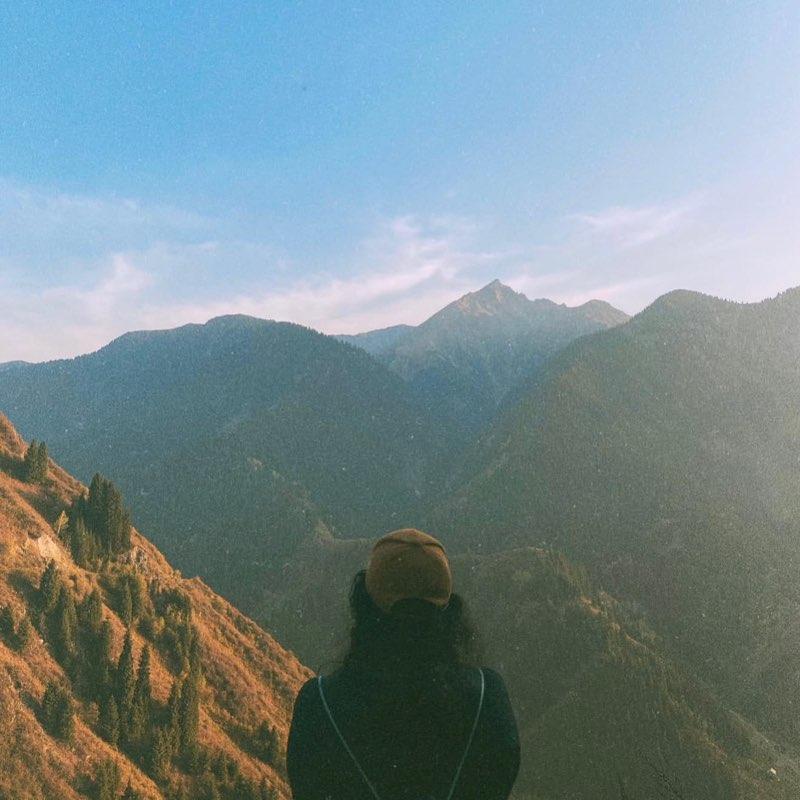 Mira Skyline profile