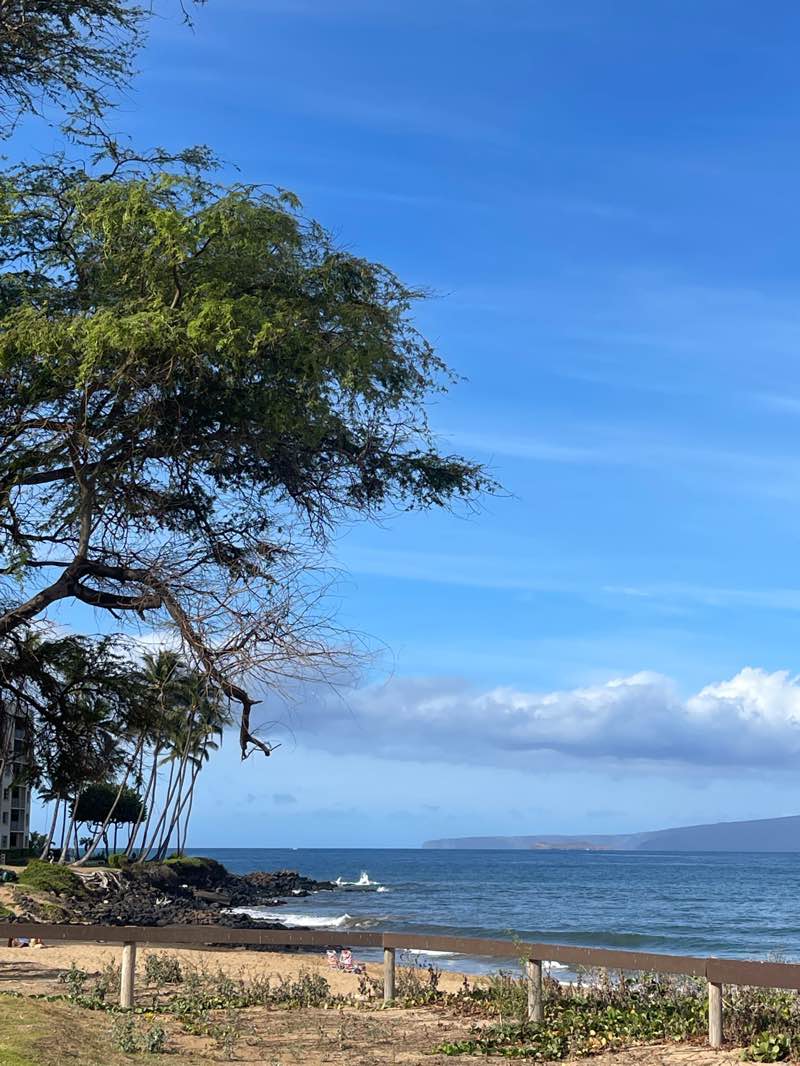 walking near me in Kamaole Beach Park in summer