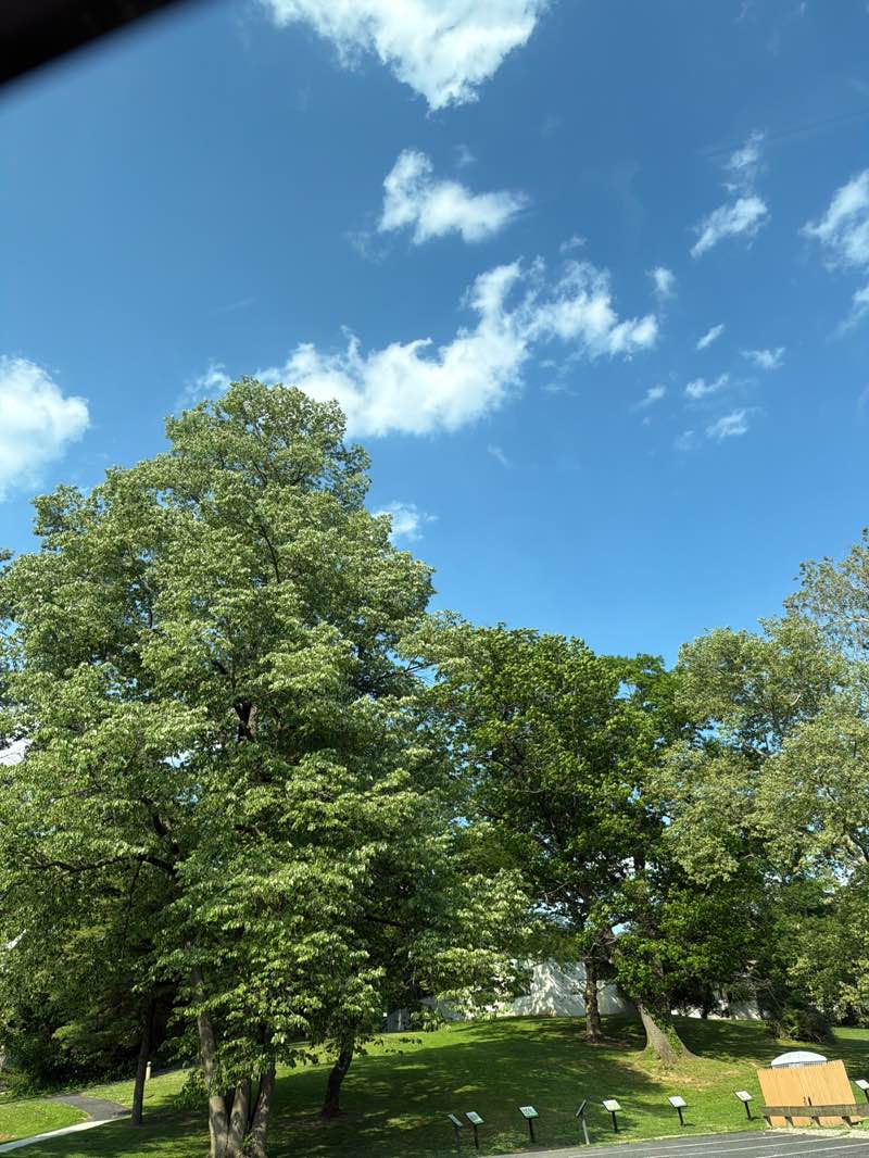 walking near me in Strafford Park & Library in summer