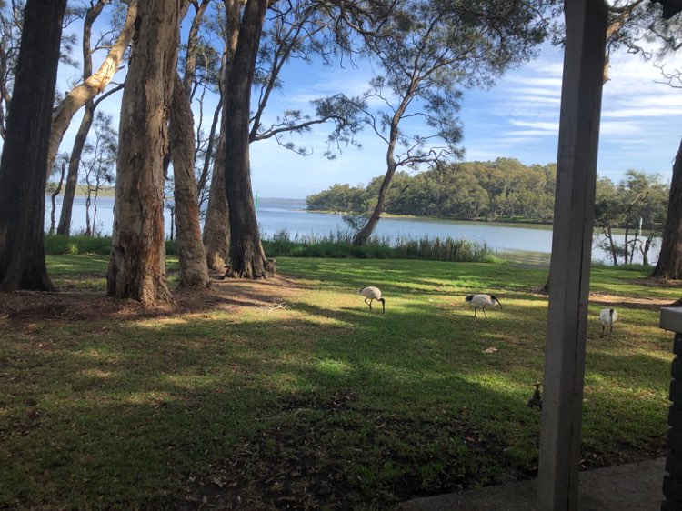 walking near me in Budgewoi Rotary Park in autumn
