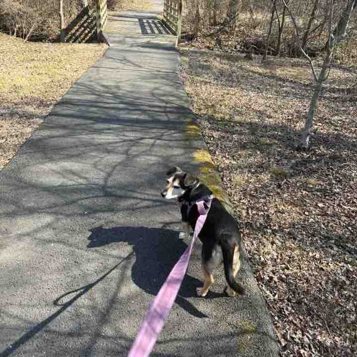 Off The Chain Natasha post image