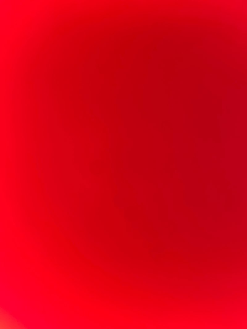 walking near me in Holywood Terrace Reserve in autumn