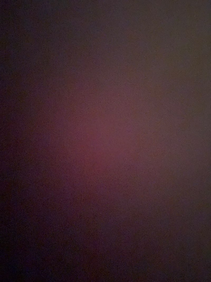 walking near me in Whitehead Park in autumn